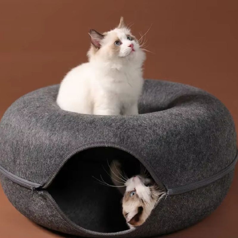 product-800-800 product-800-800