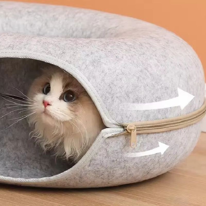 product-800-800 product-800-800